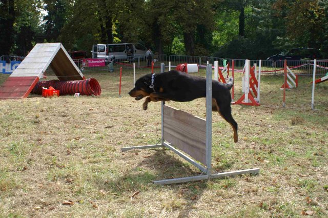 foire-haricots 2011-09-17et18